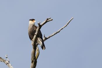 Fondo de Pantalla de pixabay_2569981.jpg