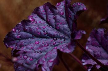 Fondo de Pantalla de pixabay_7366491.jpg