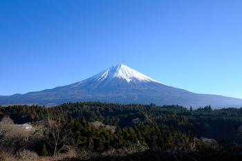 Fondo de Pantalla de pixabay_6904035.jpg