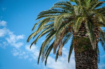 Fondo de Pantalla de pixabay_5335504.jpg