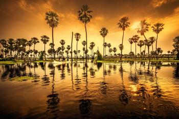 Fondo de Pantalla de pixabay_5173774.jpg