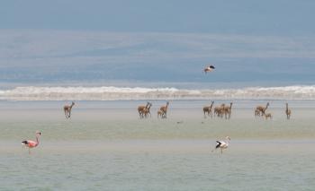 Fondo de Pantalla de pixabay_4933614.jpg