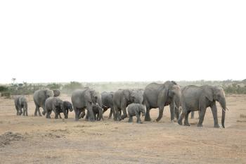 Fondo de Pantalla de pixabay_3121508.jpg