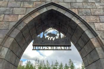 Fondo de Pantalla de pixabay_2405538.jpg