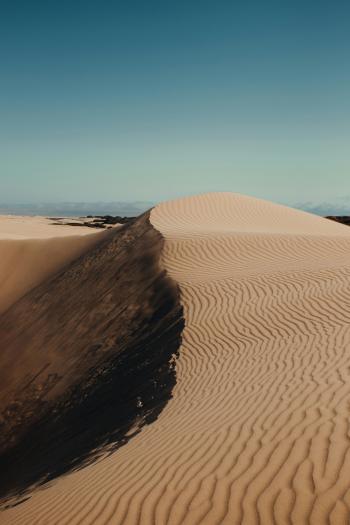 Fondo de Pantalla de pexels_9968067.jpg