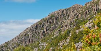 Fondo de Pantalla de pexels_30456192.jpg