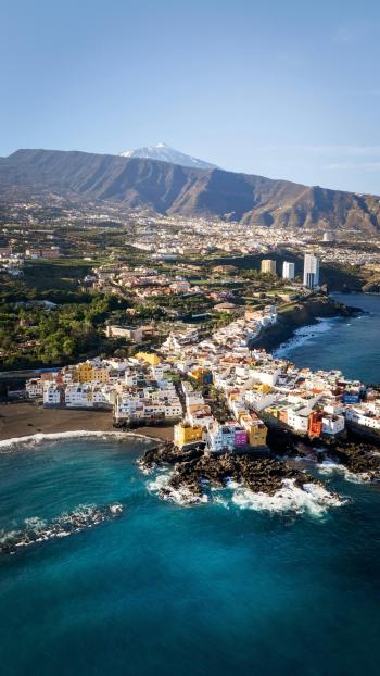 Fondo de Pantalla de pexels_30457585.jpg