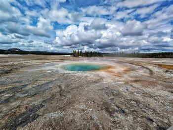 Fondo de Pantalla de pexels_30433650.jpg