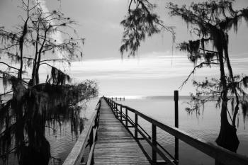 Fondo de Pantalla de pexels_30431914.jpg