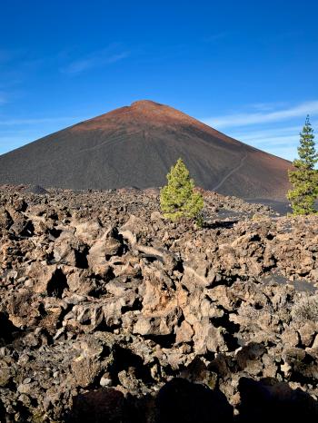 Fondo de Pantalla de pexels_30424283.jpg