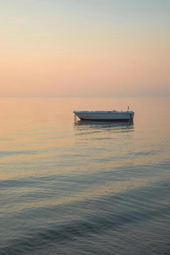 Fondo de Pantalla de pexels_30418286.jpg