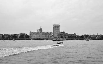 Fondo de Pantalla de pexels_30400355.jpg