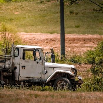 Fondo de Pantalla de pexels_30376613.jpg