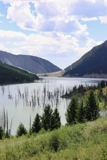 Fondo de Pantalla de pexels_30344654.jpg