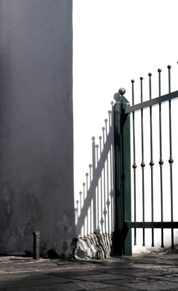 Fondo de Pantalla de pexels_30285080.jpg