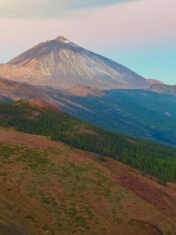 Fondo de Pantalla de pexels_30306316.jpg