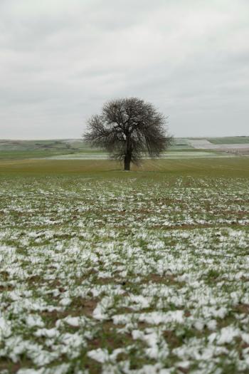 Fondo de Pantalla de pexels_30131979.jpg