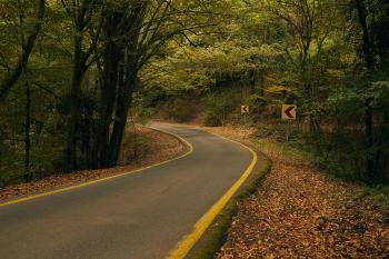 Fondo de Pantalla de pexels_29959511.jpg