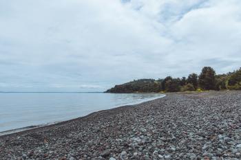 Fondo de Pantalla de pexels_29713715.jpg