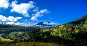 Fondo de Pantalla de pexels_27929067.jpg