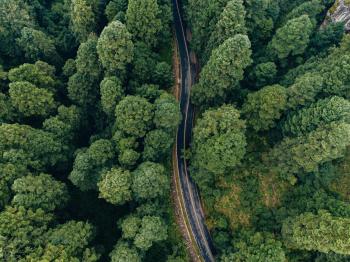 Fondo de Pantalla de pexels_14541415.jpg