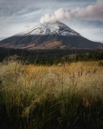 Fondo de Pantalla de pexels_13806105.jpg