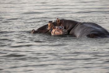 Fondo de Pantalla de pixabay_9147023.jpg