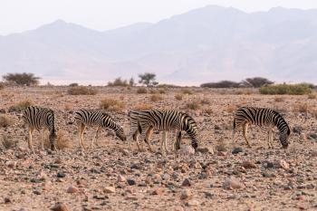 Fondo de Pantalla de pixabay_9329810.jpg