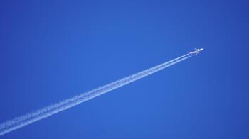 Fondo de Pantalla de pixabay_8616271.jpg