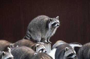 Fondo de Pantalla de pixabay_8282171.jpg