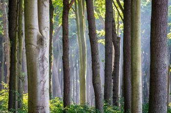 Fondo de Pantalla de pixabay_8173532.jpg