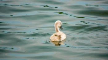 Fondo de Pantalla de pixabay_8192196.jpg