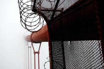 Fondo de Pantalla de pixabay_7900146.jpg