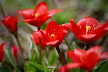 Fondo de Pantalla de pixabay_7942127.jpg