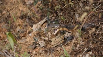 Fondo de Pantalla de pixabay_7852450.jpg