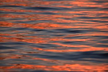 Fondo de Pantalla de pixabay_7821452.jpg