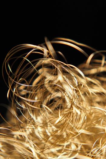 Fondo de Pantalla de pixabay_7664112.jpg