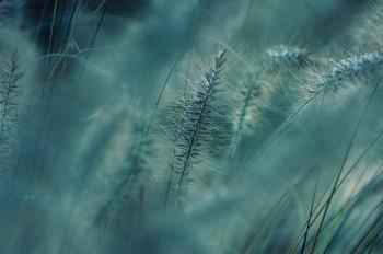 Fondo de Pantalla de pixabay_7602212.jpg