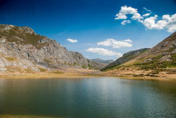 Fondo de Pantalla de pixabay_7420383.jpg