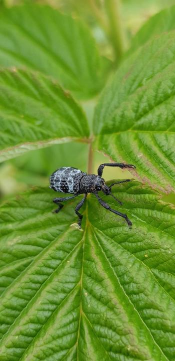 Fondo de Pantalla de pixabay_7289970.jpg