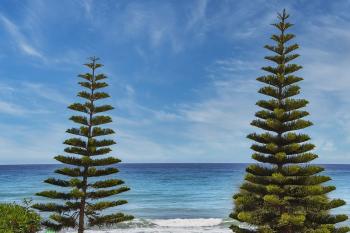 Fondo de Pantalla de pixabay_7262493.jpg