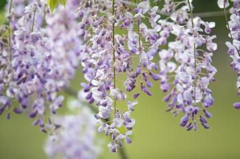 Fondo de Pantalla de pixabay_7181766.jpg