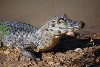 Fondo de Pantalla de pixabay_6922896.jpg