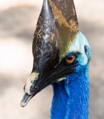 Fondo de Pantalla de pixabay_6926130.jpg