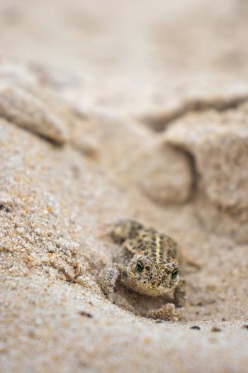 Fondo de Pantalla de pixabay_6607232.jpg