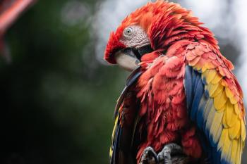 Fondo de Pantalla de pixabay_6488488.jpg