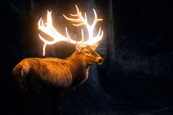 Fondo de Pantalla de pixabay_5703297.jpg