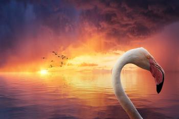 Fondo de Pantalla de pixabay_5260103.jpg