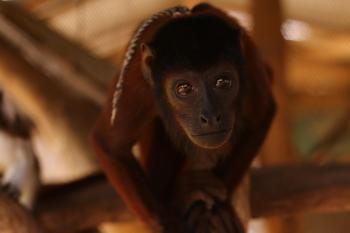 Fondo de Pantalla de pixabay_5178559.jpg