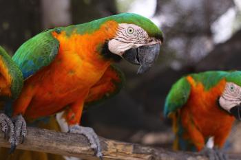 Fondo de Pantalla de pixabay_5194354.jpg